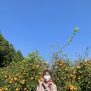 부량농장 | 4355해 들여름달의 마지막 날