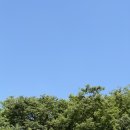 봉산카페 | 대구 삼덕동 카페 조르바 삼덕점 후기｜봉산점도 좋았지만 또 다른 매력이 있었던 신상 카페