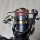 세도나 | 송어낚시 입문용 릴 추천 울테그라 세도나 프림스 레가리스 사용 후기