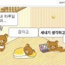 미립 Daum카페