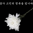 머쩌( 성 영호) 친구가 하늘나라로... 이미지