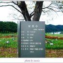 저류지수변공원 네이버블로그