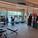 에버휘트니스 이미지