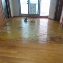 보강센트럴빌아파트 이미지