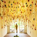 아미미술관 이미지