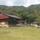 남원 실상사 백장암 삼층석탑 이미지