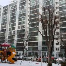 둔산3동행정복지센터 이미지