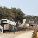 별마루펜션 | 영주 애견동반 독채펜션 배때기네하우스 달마루