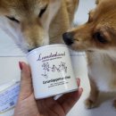 고양이 강아지 관절영양제 독일 런더랜드 초록입홍합 분말 급여 후기