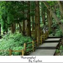 봉래폭포 관리사무소 이미지