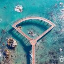 영덕해물탕 이미지