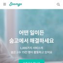 씨에프씨인천점 | 부평 튜닝 CFC korea 씨에프씨 코리아 인천점에서 K3 루프스킨