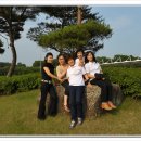 유천중학교 이미지