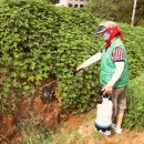 수암경로당 이미지