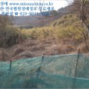웅천읍두룡1리마을회관 | [보령시 웅천읍 토지(전)경매,급매,전세] 충청남도 보령시 웅천읍 두룡리 72. 2018타경15690