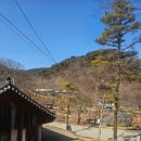 마곡사 주차장1 | 공주 마곡사 여행 후기 ㅣ 주차장 마곡사 카페 템플스테이 ㅣ 겨울 마곡사