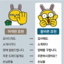 엉터리네 이미지