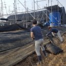 꽃피는집 이미지