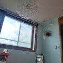 제주숙소 말레콘 | 제주 월정리 여자 혼자 1인 숙소 '말레콘' 동백룸 이용 후기