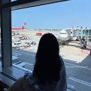 263 | 일본 삿포로여행 티웨이항공 TW263, TW264 후기 (feat.컵라면, 삶은계란)