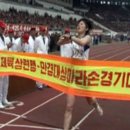 자유국제여행사 이미지