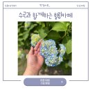 유정1955 이미지