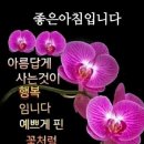 * 매일 매일이 선물입니다 이미지