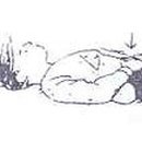 단전호흡 이미지