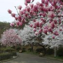 내품에햇살 이미지