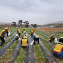 금월2리(대촌) 경로당 이미지