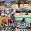 댕댕이네 이미지