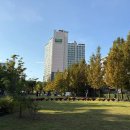 온 가족이 즐기는 「숲속음악소풍」 이미지