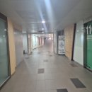 파티마병원 | 임신 37주 4일 아기 몸무게 태동 배 뭉침 파티마병원 공포의 첫 내진 후기