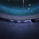 북울산스크린 | 🌞 대구아쿠아리움 여름 실내 데이트 &amp; 가족여행 코스 추천 – 인어공연부터 피딩체험까지! 내돈내산 후기👌