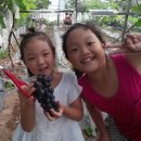 미소담농장 이미지