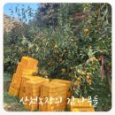 산천농장 이미지