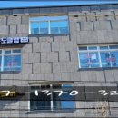 용인대 범 유도클럽 이미지