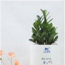 순살만공격금촌