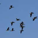 동주농장 이미지