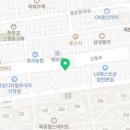 요미독 강아지분양 요미캣 고양이분양 목동점 이미지