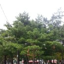 구로리공원 이미지