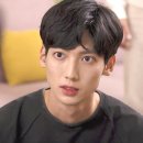 주식회사 펫프로젝트 이미지