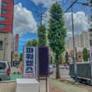 파워헬스 이미지