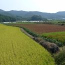 영당리마을회관 이미지