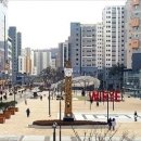 위례중앙중학교 이미지