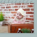 동탄나무로 이미지