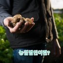 스마트행정사사무소