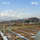 (주)진영파마 | 흙내가 고~소한 요즘 :: 마당냥이 파격 근황 공개✌️🕺