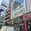 강남역 머리잘하는 곳 C컬펌 후기 준오헤어가든강남점 다현 디자이너 추천