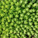 경산세탁소 이미지